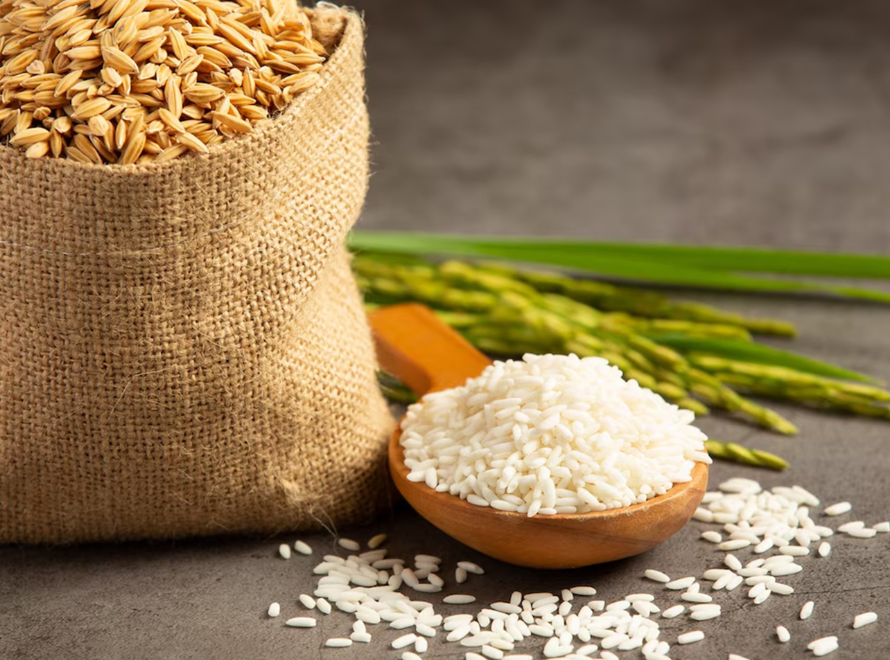 Premium Basmati Rice Export Quality